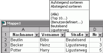 Ein Excel-Autofilter
